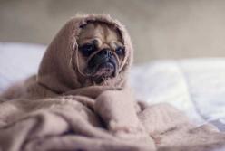 Прогноз погоды на 22 сентября: почти всю Украину накроют дожди, в Карпатах – мокрый снег