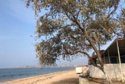 Что зимой, что летом: в сети пошутили о турсезоне в Крыму (фото)