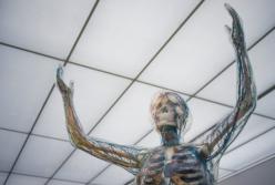 Медики рассказали, без каких органов человек может полноценно жить