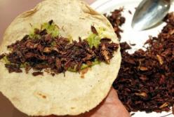 Как муравьи и сверчки могут защитить людей от рака