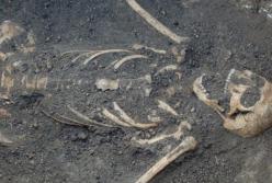 В центре Харькова найшли человеческие останки
