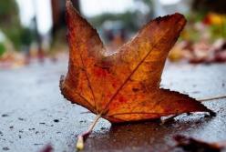 Прогноз погоды на 27 ноября: в Украину идет циклон (карта)