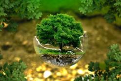 Ученые создали карту с возможными местами обитания неизвестных животных