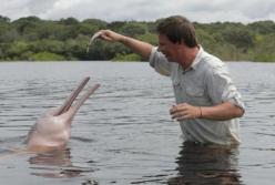 В опасных водах Амазонки Дмитрий Комаров отыскал редких розовых дельфинов (фото)