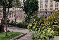 Ветер свалил огромный каштан на Крещатике (фото)