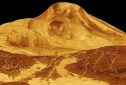 Ученые рассказали, как выживают микробы на Венере