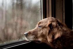 Прогноз погоды на 5 февраля: на Украину надвигается циклон Petra