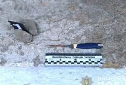 Не поделили пульт от телевизора: в Одесской области мужчина зарезал родного брата (фото, видео)