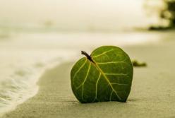 Прогноз погоды на 6 августа: сухо, солнечно, тепло