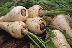 Медики назвали овощ, который полезен для сердца, печени и щитовидной железы