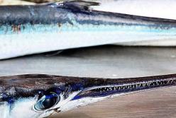 Рыба прыгнула в лодку и проткнула рыбаку шею (фото)