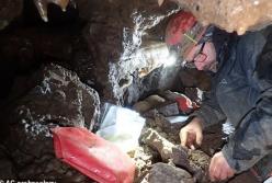 Гиены, мамонты и носороги: археологи сделали потрясающее открытие (фото)