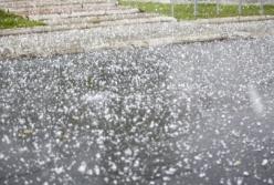 В Киеве прошел дождь с градом (видео)