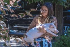 В Днепре иностранка живет в квартире со свиньей и теленком (видео)