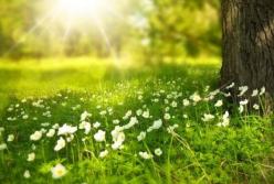 10 мая в Украине солнечно, температура до +25°C