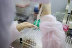 В аэропорту Киев появился пункт тестирования на коронавирус