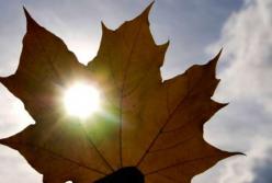 Прогноз погоды на 24 сентября: ночью заморозки, днем прохладно