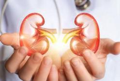 Названы продукты, вызывающие болезни почек 