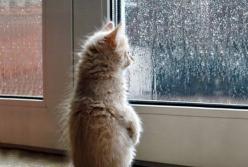 Прогноз погоды на 5 октября: холод и дожди (карта)