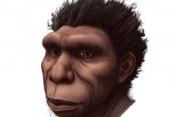 Ученые открыли новый вид предка человека