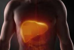 Врачи назвали симптомы разрушения печени
