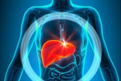 Врачи назвали продукты, которые вредны для печени