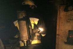 В Депре горела ветеринарная клиника: удалось спасти пять котов и двух щенков