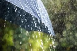 Погода на 14 июля: на левобережье дожди с грозами 