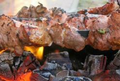 Ученые рассказали об опасности приготовления пищи на дровах