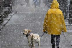 Прогноз погоды на 17 декабря: в Украине – дождь со снегом