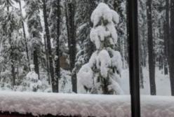«Легли спать летом, а проснулись зимой»: Канаду завалило снегом (фото, видео)