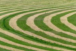 Археологи разгадали загадку таинственных кругов в Польше