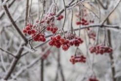Синоптики рассказали, какая погода будет в декабре