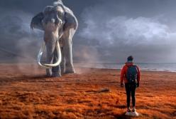 Ученые планируют "воскресить" мамонтов