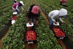 Украина разрешила чартеры для заробитчан в Финляндию