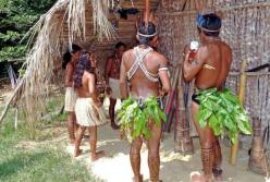 В лесах Амазонии обнаружили загадочные древние деревни