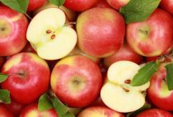 Медики назвали фрукт, который поможет очистить сосуды