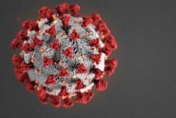 Израиль успешно протестировал вакцину от коронавируса на грызунах