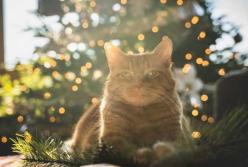 Прогноз погоды на 11 ноября: морозная ночь и солнечный день