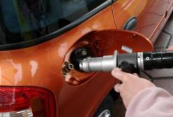 Эксперты рассказали, чего ждать от цен на автомобильный газ