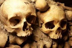 Археологи обнаружили человеческие черепа жертвоприношения, которым более 6000 лет 