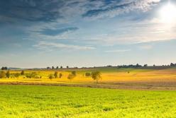 Прогноз погоды на 19 июля: ощутимо потеплеет