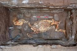 В Китае нашли императорскую гробницу с горой сокровищ (фото)