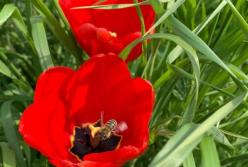 Прогноз погоды на 18 апреля: днем солнечно и без осадков, а ночью – заморозки