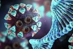 Ученые заявили о новой опасности коронавируса