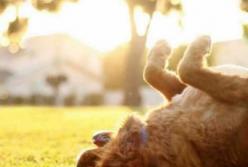 Прогноз погоды на 8 сентября: утром будет туманно, днем – тепло и солнечно