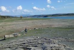 Крым постигла экологическая катастрофа (фото)