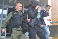 Украинцев задержали в ЕС с янтарем на полмиллиона евро