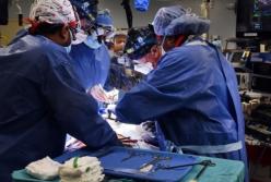 В США впервые успешно пересадили человеку сердце свиньи