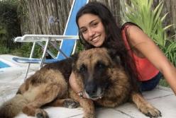 Собака разорвала девушке лицо во время фотосессии (фото)